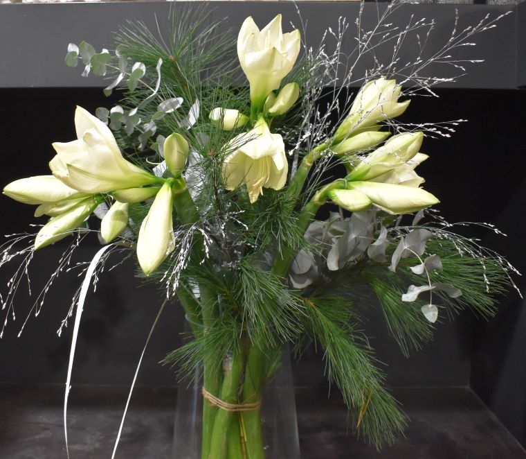 Bouquet Amaryllis Blanc