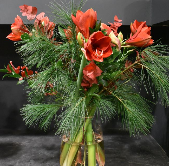 Bouquet Amaryllis Rouge