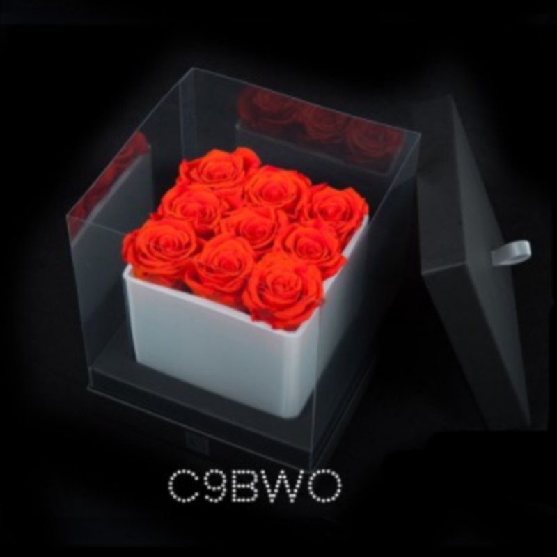 9 Orange Roses White Cube